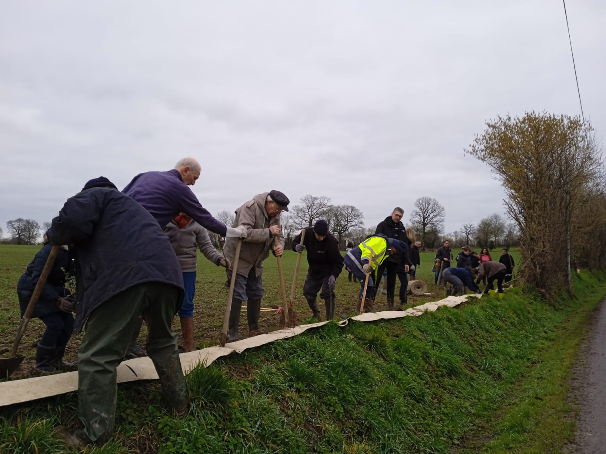 plantation bénévole