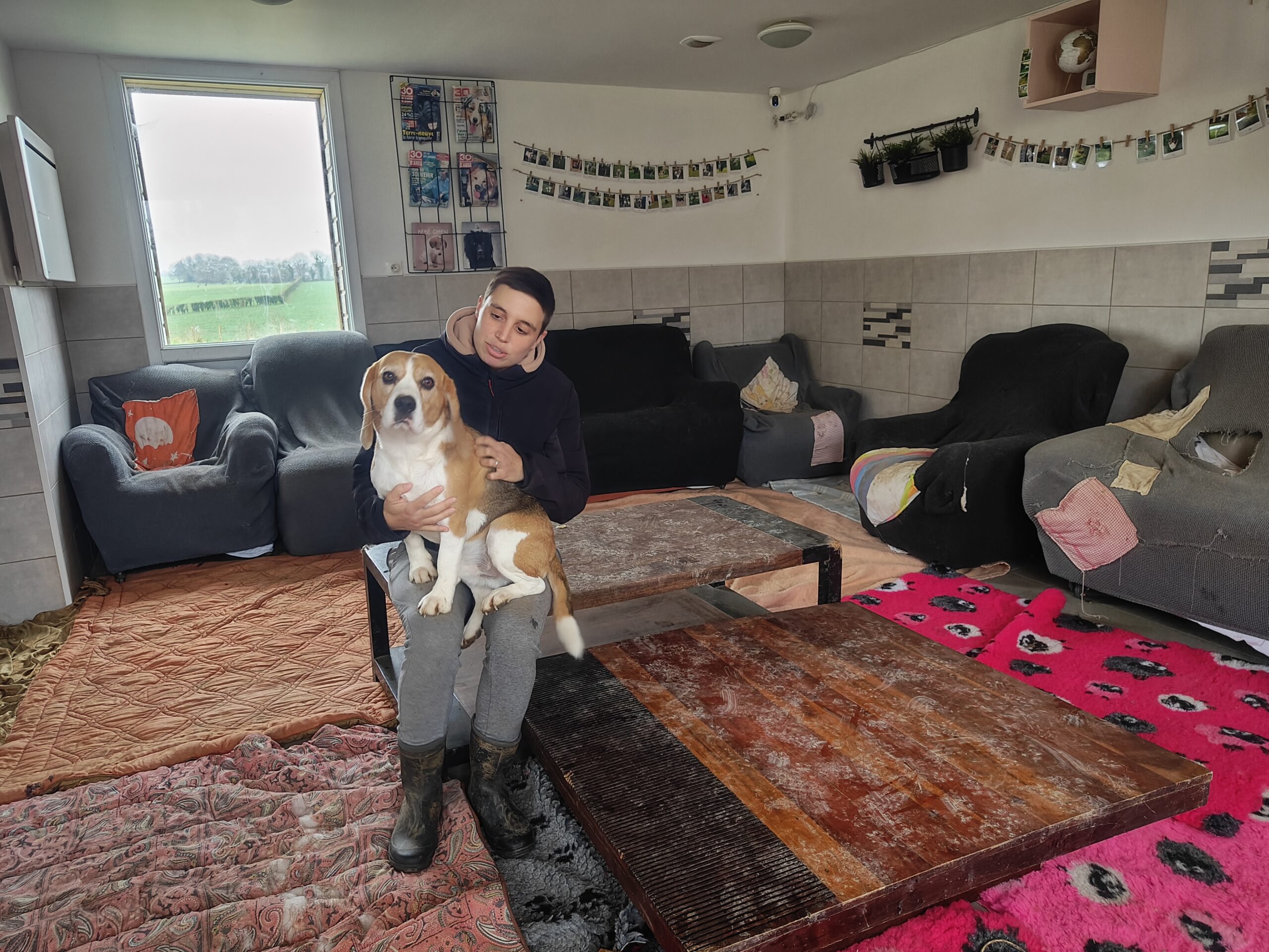 Maison collective à L’Astuce, pension canine familiale à Cahagnes