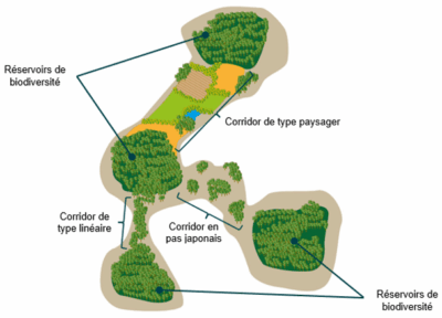 GetAttachmentThumbnail GetAttachmentThumbnail